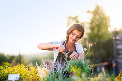 Professional hedge cutting service for an Earlscourt residential garden
