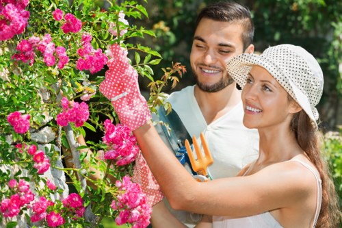 Healthy urban trees maintained by experts in Earlscourt