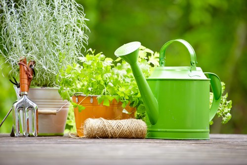 Careful hedge maintenance and shaping for a property in Earlscourt