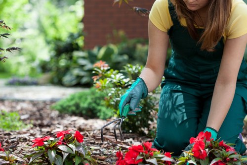 Keyboard navigation and inclusive website structure for tree surgeons