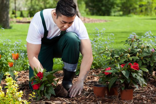 Accessibility request support section for Earlscourt tree surgery users