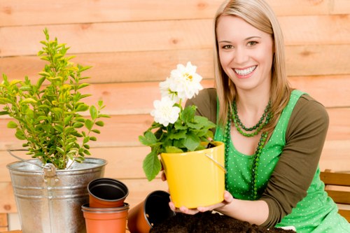 Stump grinding and tree maintenance service in Earlscourt
