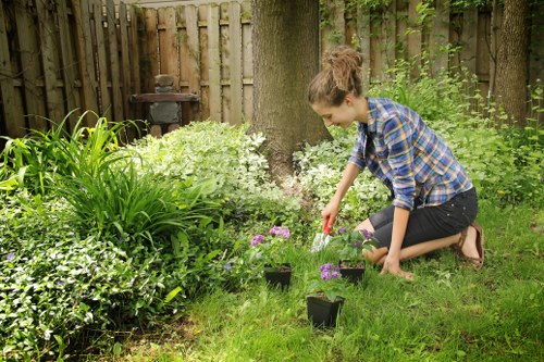 Supplier audit and compliance review in an arborist business