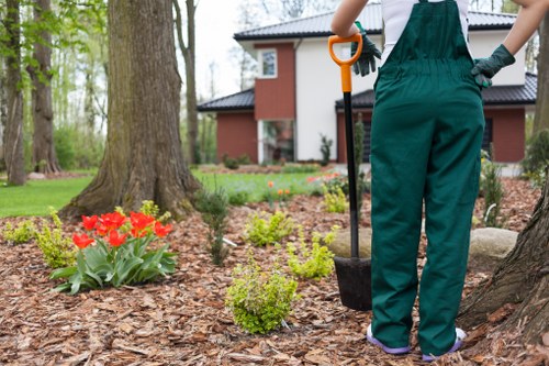 Stump grinding service for a property with limited parking and access in Earlscourt